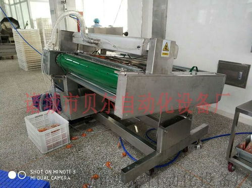 山東貝爾品牌休閑食品真空包裝機械，廠家直銷引領品質潮流